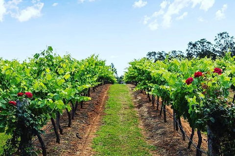Tintilla Estate: Wine Tasting With A Meat And Cheese Platter - Accommodation Port Hedland 0
