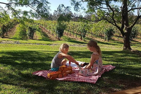 Tintilla Estate: Wine Tasting With A Meat And Cheese Platter - Accommodation Port Hedland 2