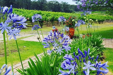 Tintilla Estate: Wine Tasting With A Meat And Cheese Platter - Accommodation Port Hedland 4