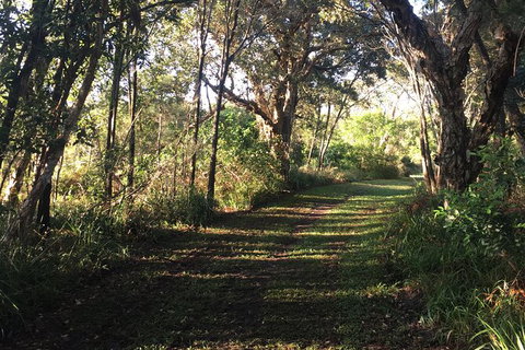 Coffs Harbour To Sawtell Bike Ride - Accommodation Port Hedland 7