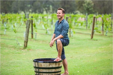 Hunter Valley Grape Stomping - Accommodation Port Hedland 0