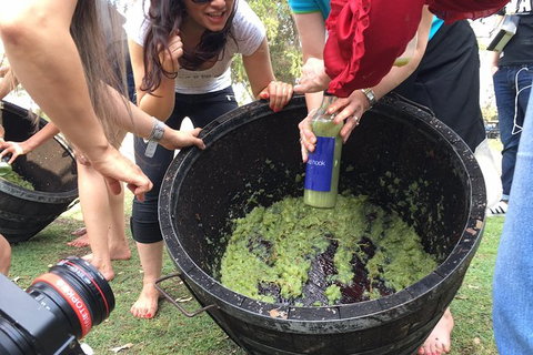 Hunter Valley Grape Stomping - Accommodation Port Hedland 3
