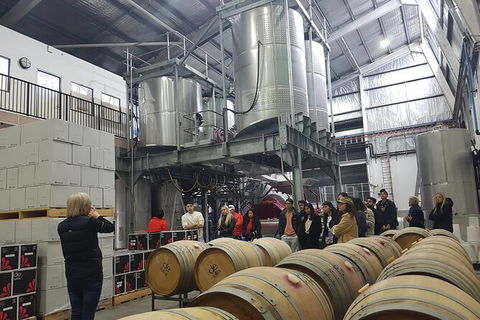Hunter Valley Small Group Wine, Gin, Cheese & Chocolate Tour - Accommodation Port Hedland 6