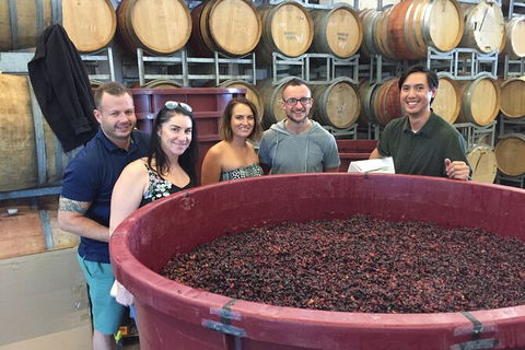 Hunter Valley Small Group Wine, Gin, Cheese & Chocolate Tour - Accommodation Port Hedland 0