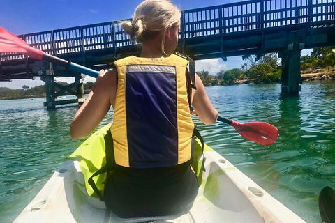 2-Hour Rental Kayak Double In Brunswick River - Accommodation Port Hedland 3