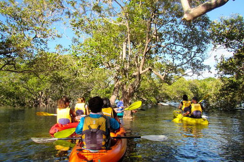 2-Hour Rental Kayak Double In Brunswick River - Accommodation Port Hedland 2