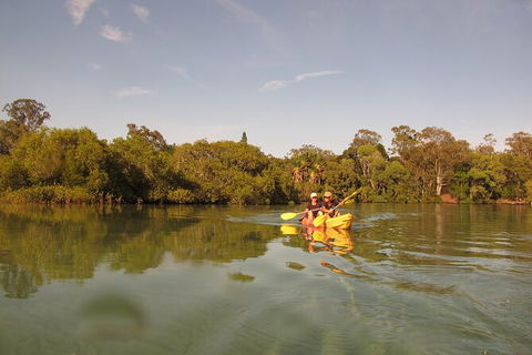 2-Hour Rental Kayak Double In Brunswick River - Accommodation Port Hedland 5