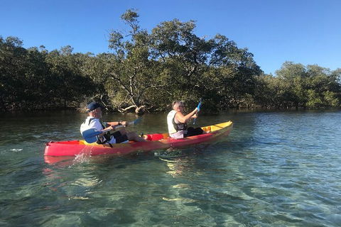 2-Hour Rental Kayak Double In Brunswick River - Accommodation Port Hedland 4