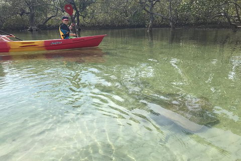 2-Hour Rental Kayak Double In Brunswick River - Accommodation Port Hedland 6