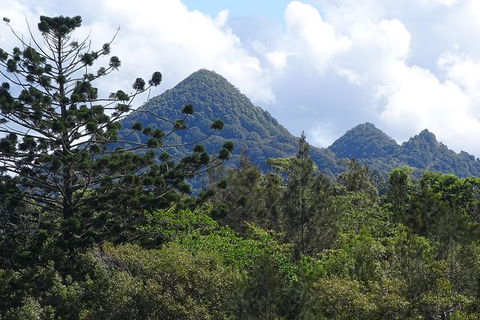 Byron Bay Rainforest Eco-Cruise - Accommodation Port Hedland 3