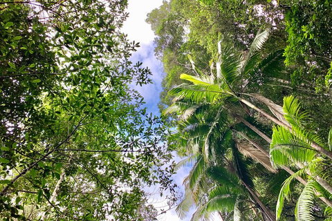 Guided E Bike Tour - Unicorn Falls & National Park - Accommodation Port Hedland 5