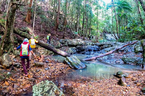 Guided E Bike Tour - Unicorn Falls & National Park - Accommodation Port Hedland 17