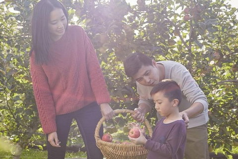 Blue Mountains Botanic Garden And Bilpin Tour From Katoomba With Cider Tasting - Accommodation Port Hedland 1