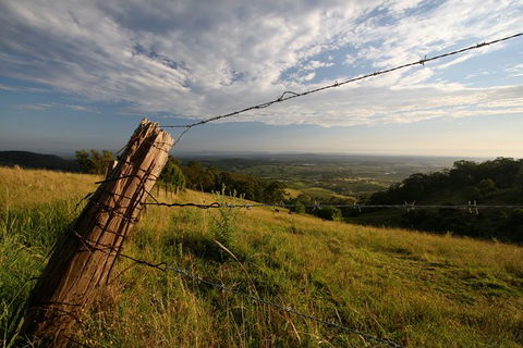 Private Full-Day Wine Tour In Hunter Valley - Accommodation Port Hedland 3