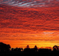Private Full-Day Wine Tour in Hunter Valley - Accommodation Port Hedland
