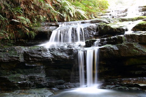 Private 10-hour Tour To Blue Mountains From Sydney - Hotel Pick Up & Drop Off - Accommodation Port Hedland 6