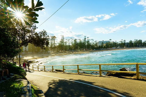 Sydney With Bondi And Beaches Essentials Private Day Tour - Accommodation Port Hedland 8