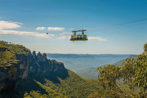 Blue Mountains Highlights, Wildlife Park And Scenic World Full Day Private Tour - Accommodation Port Hedland 0