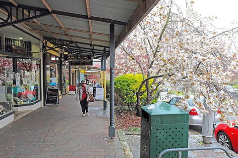 Blue Mountains Highlights, Wildlife Park And Scenic World Full Day Private Tour - Accommodation Port Hedland 2