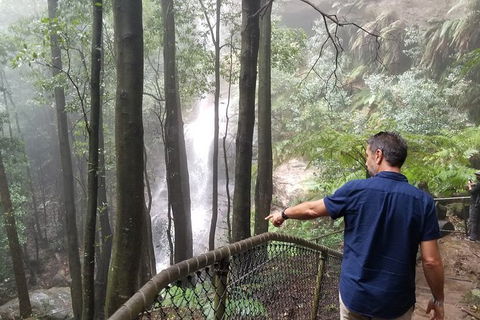 Blue Mountains Highlights, Wildlife Park And Scenic World Full Day Private Tour - Accommodation Port Hedland 6