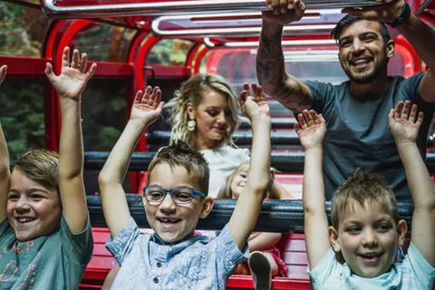 Blue Mountains Highlights, Wildlife Park And Scenic World Full Day Private Tour - Accommodation Port Hedland 5