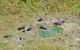 Jabiru 60 Minute Scenic Flight - thumb 7