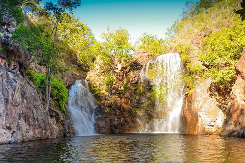 Litchfield National Park Waterfalls Day Trip From Darwin Including Termite Mounds And Lunch - Accommodation Port Hedland 0