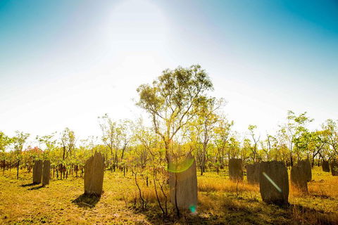 Litchfield National Park Waterfalls Day Trip From Darwin Including Termite Mounds And Lunch - Accommodation Port Hedland 1
