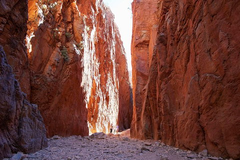 Best Of Alice Springs Full Day Tour - Accommodation Port Hedland 6