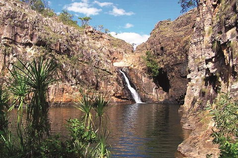Kakadu, Katherine & Litchfield Adventure - Accommodation Port Hedland 1
