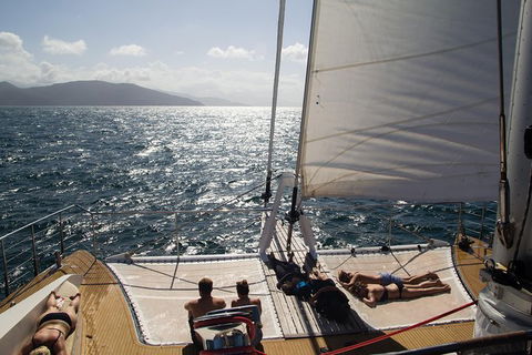 Passions Of Paradise Great Barrier Reef Snorkel And Dive Cruise From Cairns By Luxury Catamaran - Accommodation Port Hedland 8