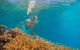 Passions Of Paradise Great Barrier Reef Snorkel And Dive Cruise From Cairns By Luxury Catamaran - thumb 2