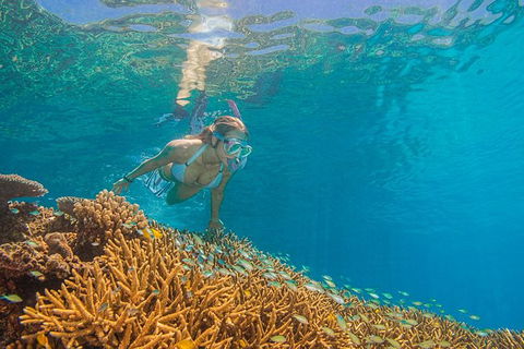 Passions Of Paradise Great Barrier Reef Snorkel And Dive Cruise From Cairns By Luxury Catamaran - Accommodation Port Hedland 2