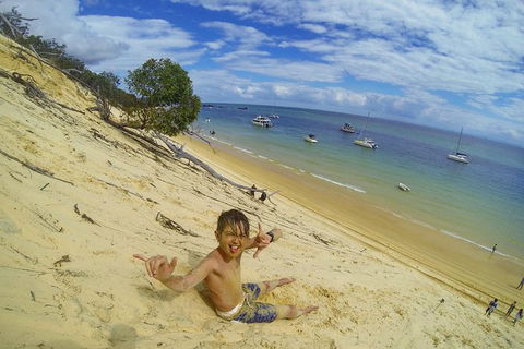 All Inclusive Dolphin And Tangalooma Wrecks Cruise - Accommodation Port Hedland 1