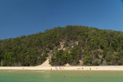 All Inclusive Dolphin And Tangalooma Wrecks Cruise - Accommodation Port Hedland 4