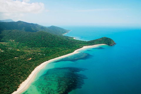 Cape Tribulation, Mossman Gorge, And Daintree Rainforest Premium Day Tour - Accommodation Port Hedland 0
