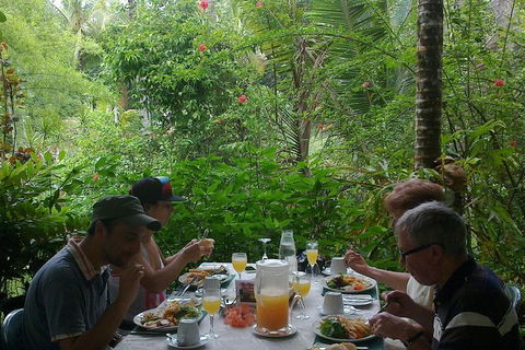 Cape Tribulation, Mossman Gorge, And Daintree Rainforest Premium Day Tour - Accommodation Port Hedland 9