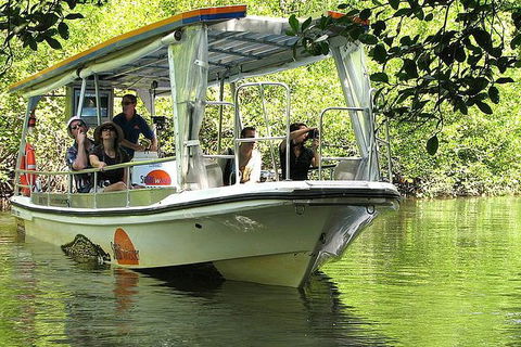 Cape Tribulation, Mossman Gorge, And Daintree Rainforest Premium Day Tour - Accommodation Port Hedland 11