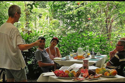 Cape Tribulation, Mossman Gorge, And Daintree Rainforest Premium Day Tour - Accommodation Port Hedland 6