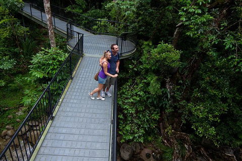 Cape Tribulation, Mossman Gorge, And Daintree Rainforest Premium Day Tour - Accommodation Port Hedland 12