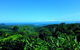 Cape Tribulation, Mossman Gorge, And Daintree Rainforest Premium Day Tour - thumb 13