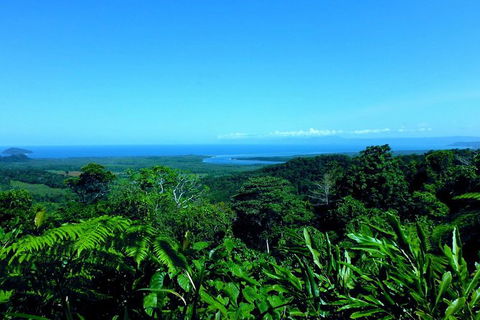 Cape Tribulation, Mossman Gorge, And Daintree Rainforest Premium Day Tour - Accommodation Port Hedland 13