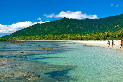Cape Tribulation, Mossman Gorge, And Daintree Rainforest Premium Day Tour - Accommodation Port Hedland 7
