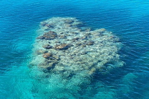 Lady Musgrave Day Trip From Bundaberg Including Snorkeling, Glass Bottom Tour And Guided Island Walk - Accommodation Port Hedland 2