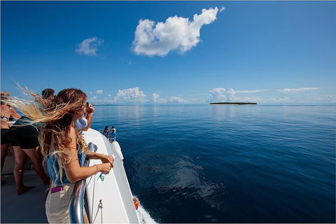 Lady Musgrave Day Trip From Bundaberg Including Snorkeling, Glass Bottom Tour And Guided Island Walk - Accommodation Port Hedland 4