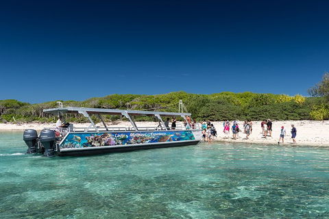 Lady Musgrave Day Trip From Bundaberg Including Snorkeling, Glass Bottom Tour And Guided Island Walk - Accommodation Port Hedland 5
