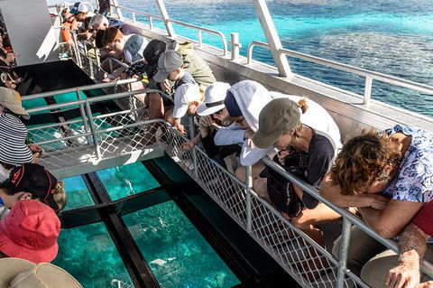 Lady Musgrave Day Trip From Bundaberg Including Snorkeling, Glass Bottom Tour And Guided Island Walk - Accommodation Port Hedland 3