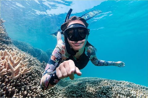 Lady Musgrave Day Trip From Bundaberg Including Snorkeling, Glass Bottom Tour And Guided Island Walk - Accommodation Port Hedland 1