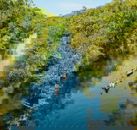 Cruise 'n' Canoe to Australia's Everglades - Accommodation Port Hedland