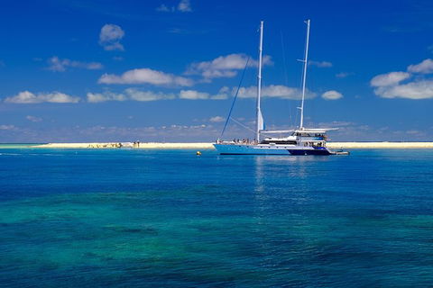 Ocean Spirit Michaelmas Cay Dive And Snorkel Cruise From Cairns - Accommodation Port Hedland 1